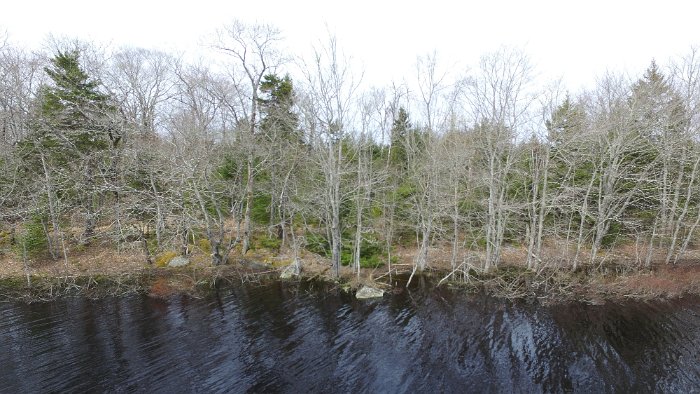 WentworthHalbinsel (82)